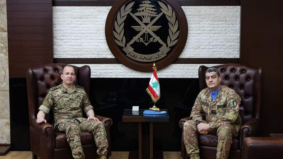 هيكل يستقبل رئيس بعثة اليونيفيل.. وهذا ما دار في الاجتماع