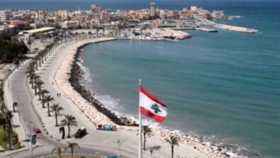 صرخة جنوبية لإعلان صور والنبطية خاليتين من السلاح (شاهد التقرير)