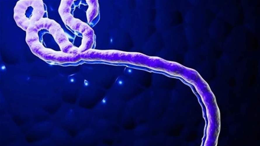 منظمة الصحة العالمية: خطر تفشي فيروس إيبولا منخفض على المستوى العالمي