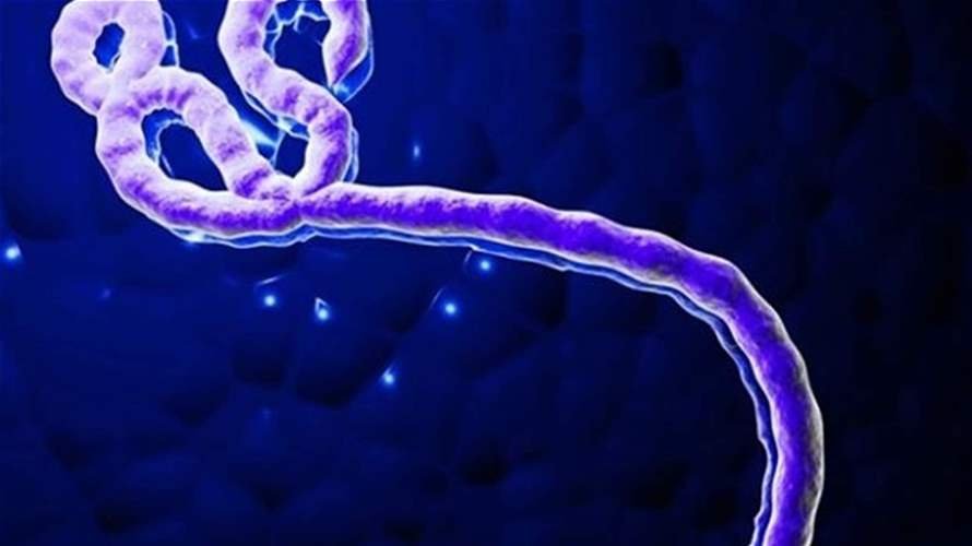 أميركا توسع نطاق حظر السفر المتعلق بإيبولا ليشمل حاملي البطاقة الخضراء