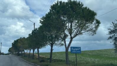 اتصال إسرائيلي مباشر لرئيس بلدية اللوبية: أخلوا البلدة فورًا