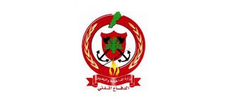 رغم الغارات والأضرار.. الدفاع المدني ينجح بإجلاء 29 مواطنًا