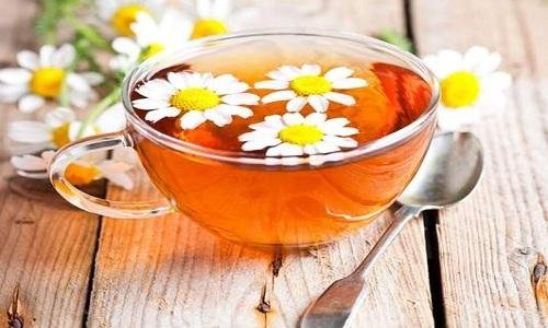 اكتشاف خصائص علاجية واعدة في البابونج الجزائري