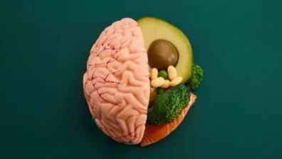 دراسة: صحة الأمعاء مفتاح حماية الدماغ