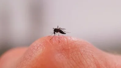 مرض نادر تنقله لدغات القراد يسلب رجلاً القدرة على الكلام… ماذا نعرف عنه؟