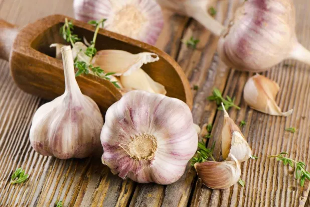 ماذا يحدث لجسمك عند تناول فص ثوم يومياً؟