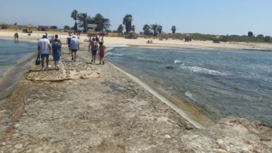 افتتاح محمية جزر النخيل أمام الزوار السبت والعائدات لتغطية تكاليف الصيانة